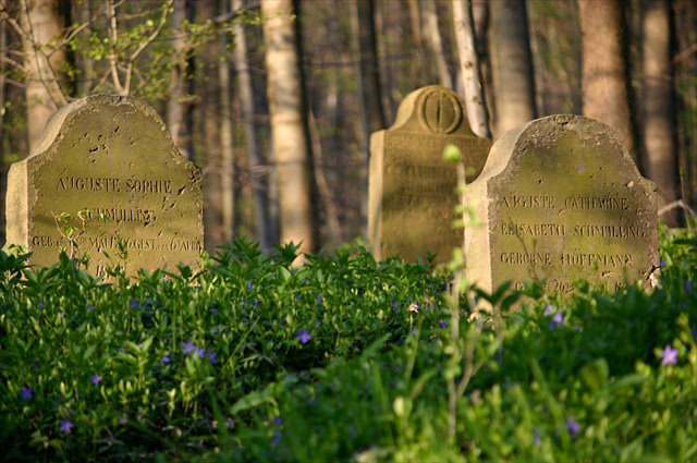 Geschichtspfad Waldbegräbnisse in Halle Westfalen